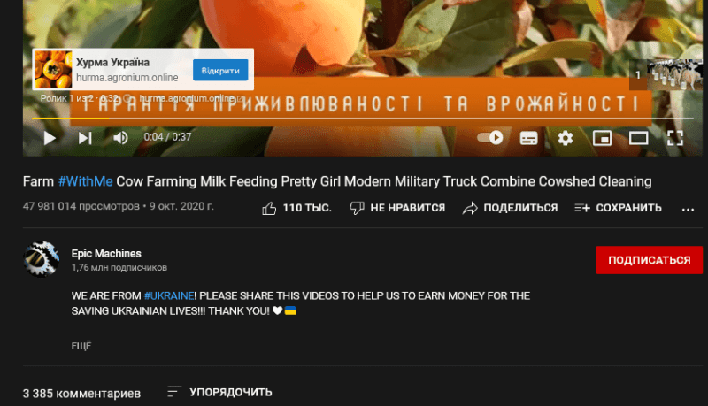 Как видео с коровами приносит автору от $100 000/год на YouTube — AffTimes.com