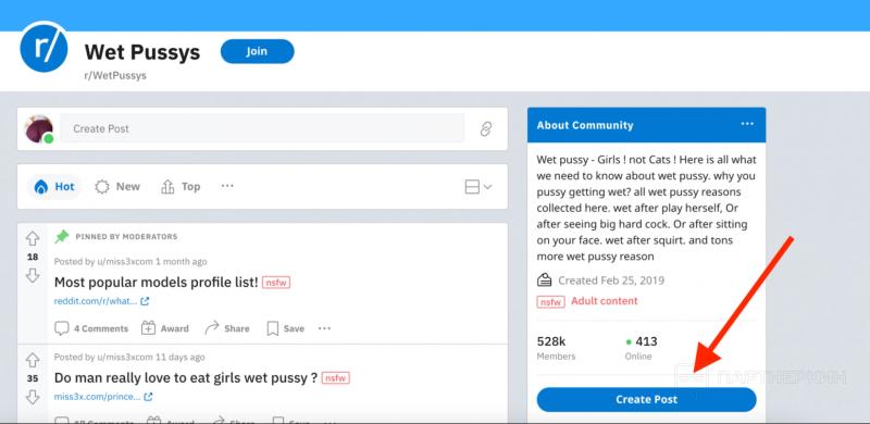 Как продвигаться на Reddit? Пошаговый гайд по работе с платформой для OnlyFans и Fansly