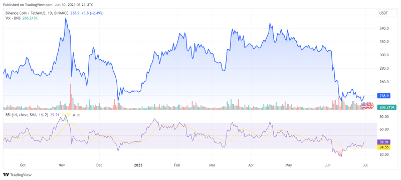 Капитализация Binance Coin в июне упала почти на 25%