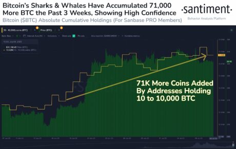 Объем торгов биткоином вырос на 75%