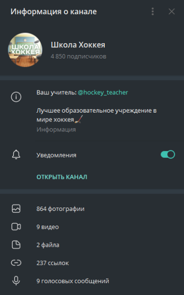 Вся правда о телеграм-канале «Школа Хоккея»