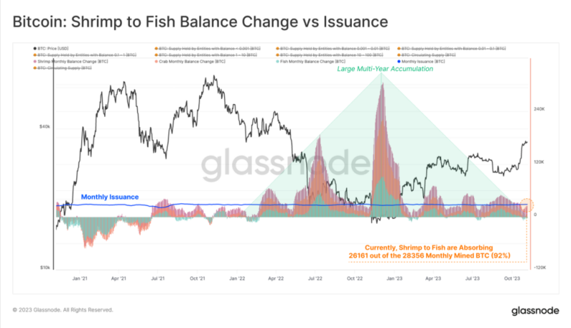 Glassnode: в ожидании халвинга и ETF ходлеры скопили рекордное число монет