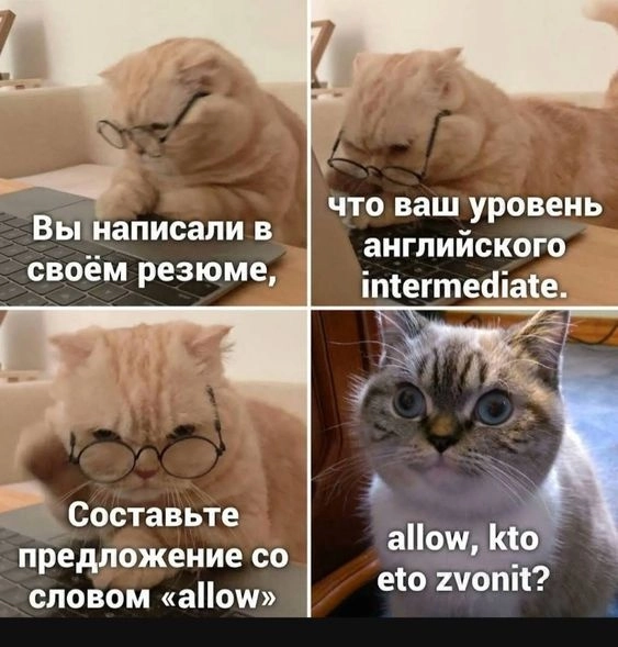 «Можно получать $2000+ с одной странички, если постараться», — кто такие секстеры и почему OnlyFans-модели держат это в секрете