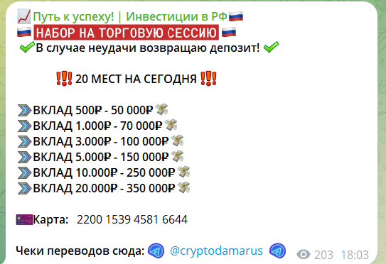 Обзор канала Путь к успеху | Инвестиции РФ в Telegram – отзывы об Ульяне @cryptodamarus